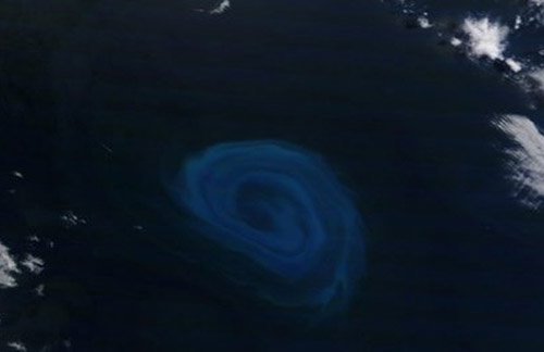Discovering the 'dead zone' in the Atlantic Ocean