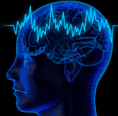 Discovering the 'devil zone' in the human brain