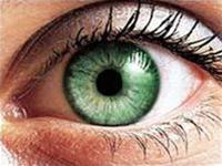 Discovering the key gene causes vision impairment