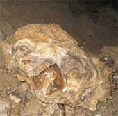 Discovering the legendary gold mine worth USD 1.7 billion?