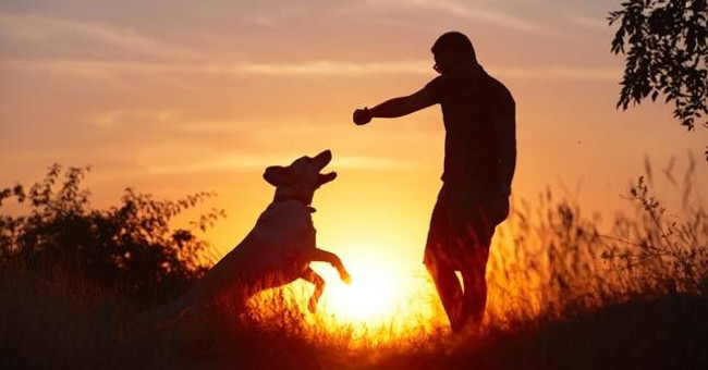Discovering the sunshine about
