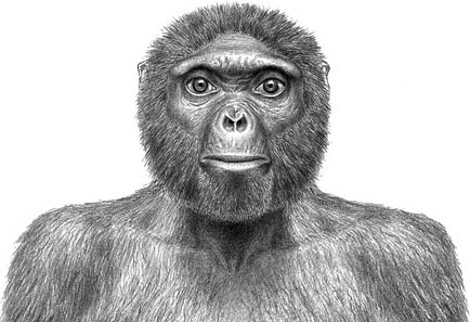 Discovery of fossil history of 4.4 million years old