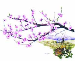 Dishes from peach blossom