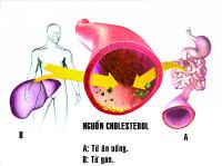 Disorders of blood lipid treatment may not take medication