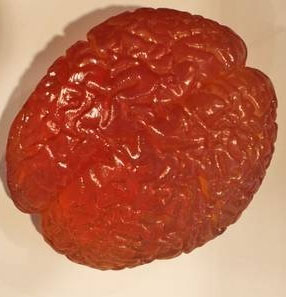 Display a part of the brain of Einstein genius