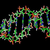 DNA bar codes are anti-goods