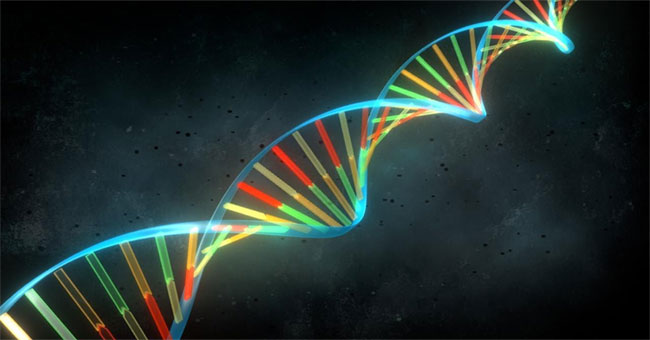 DNA barcodes - Revolution in organism classification?