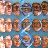 DNA can outline the suspect's face