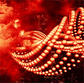 DNA from genetically modified food goes straight into the human body