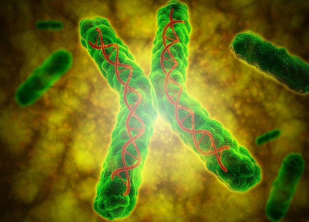 DNA of people affected by poverty