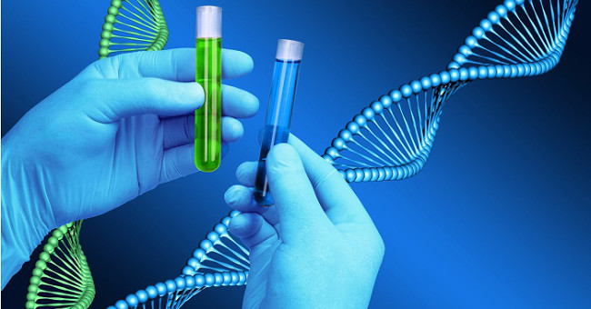 DNA testing and information to know