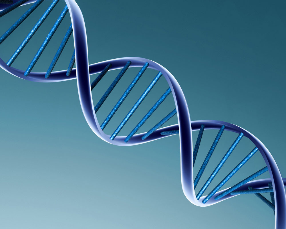 DNA testing helps prevent illness