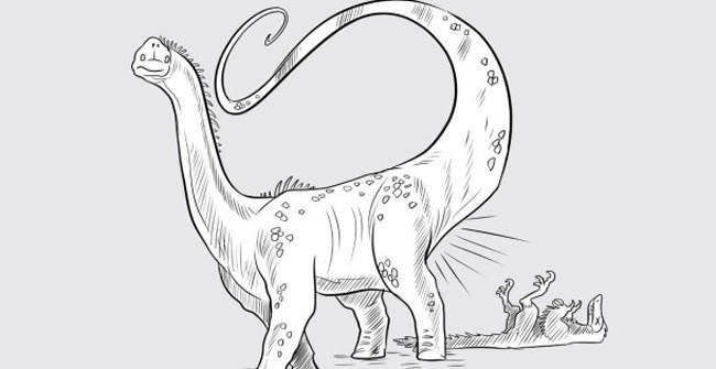 Do animals 'drop bombs'?  A scientist risked his experience and got a stinking end