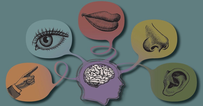 Do people really have only 5 senses?