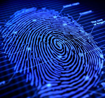 Does fingerprint change over time?