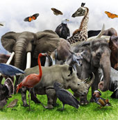 Does synthetic biology protect wild life?