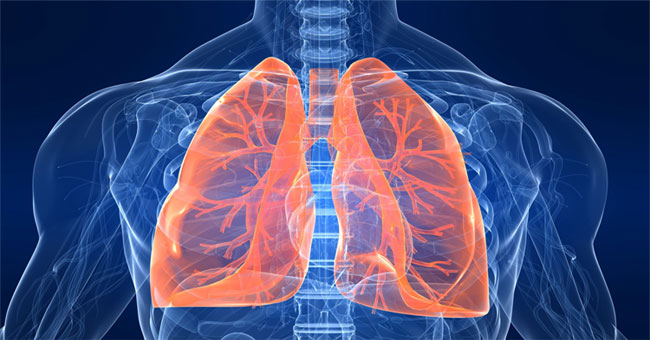 Does the lungs heal itself if we quit smoking?
