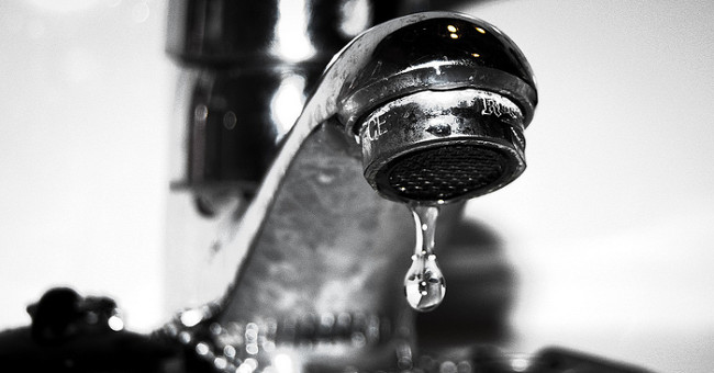 Does the tap water contain more bacteria than the toilet?