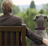 Dog keeping helps reduce the risk of heart disease