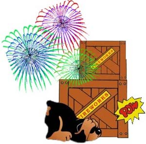 Dogs are afraid of fireworks