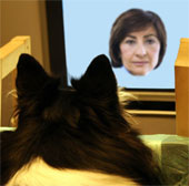 Dogs know face recognition