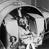 Dogs 'myths' in world history