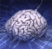 Doing many things at the same time is not good for the brain