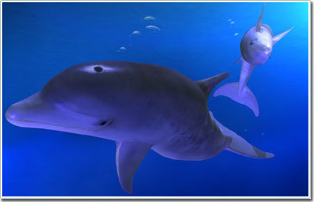 Dolphins cannot swim too fast