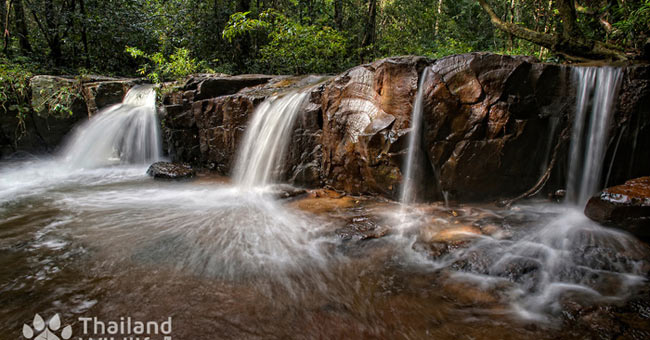 Dong Phaya Yen - Khao Yai forest complex