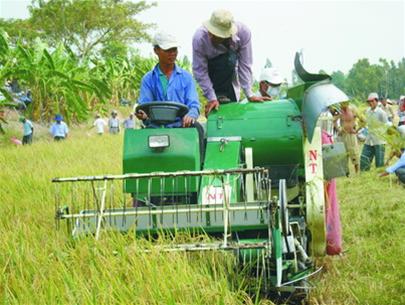 Dong Thap: encouraging farmers to use the harvester