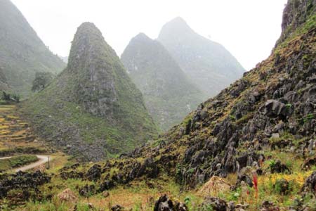 Dong Van stone plateau becomes a world geopark