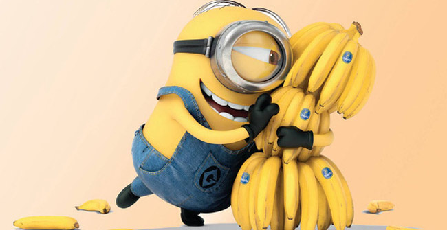 Don't be shocked to know this truth: Too much of our bodies are exactly like ... flies and bananas