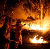 Dozens of large wildfires broke out in Australia