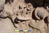 Dozens of tombs containing hundreds of 1,200-year-old ancient mummies were discovered in Peru