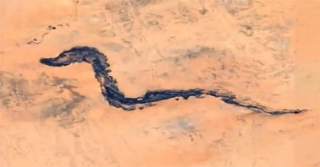 'Dragon fossils' nearly 10,000 meters long in the desert of Africa?