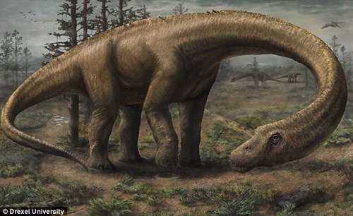 Dreadnoughtus long neck dinosaurs weigh only 40 tons