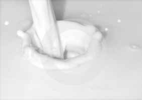 Drinking milk is good for the heart