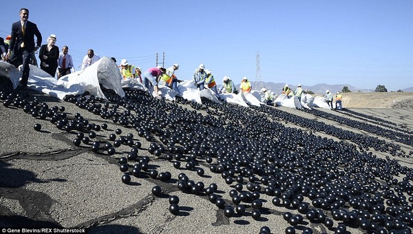 Drop 96 million plastic balls into the lake to combat drought