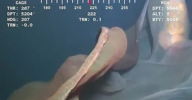 Drop the camera into the sea, see giant monster deformed