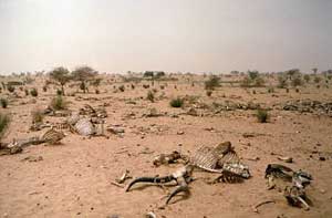 Drought can change the history of humanity