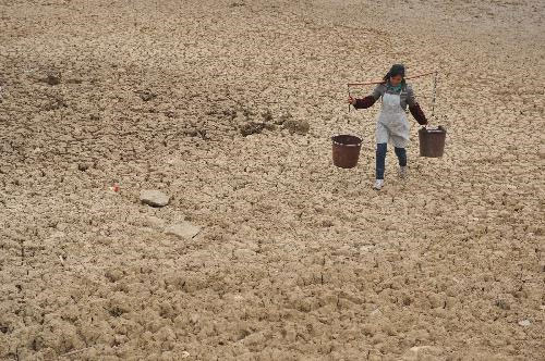 Drought causes serious electricity shortages in China