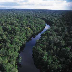 Drought in the Amazon forest causes climate change