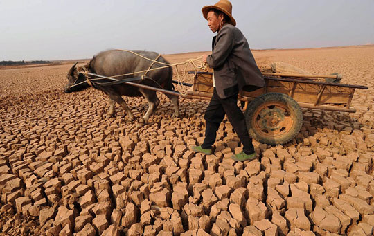 Drought spreads causing serious damage in China