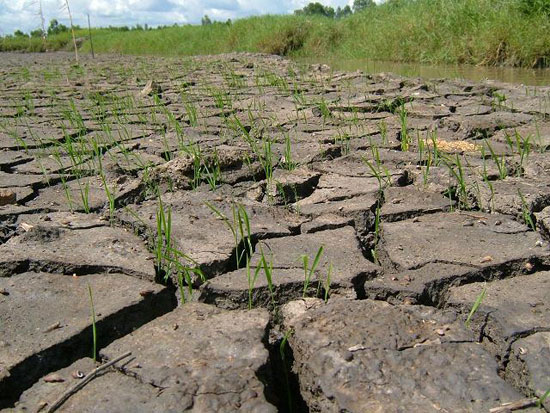 Drought threatens Europe