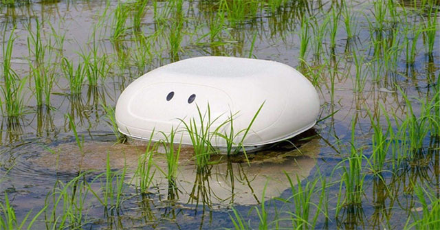 'Duck' robot helps Japanese farmers to kill grass without chemicals
