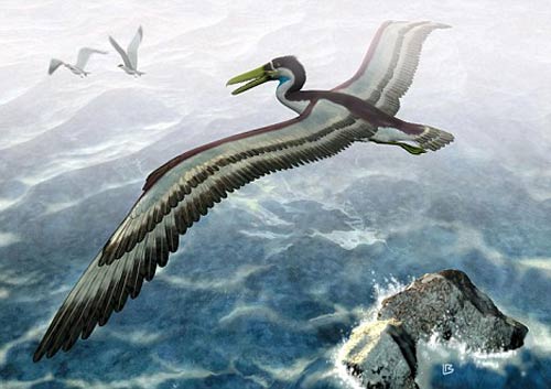 Ducks have wingspan by plane