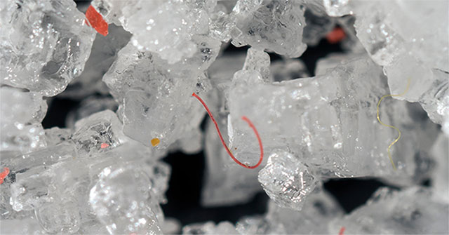 Each person swallowed at least 50,000 micro-plastic beads every year