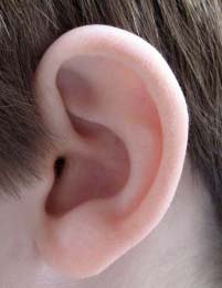 Ear infections in children are related to the smell of secondhand smoke