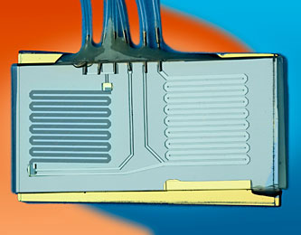 Early detection device for coal