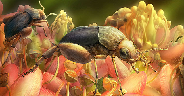Early detection of fossil insect pollination